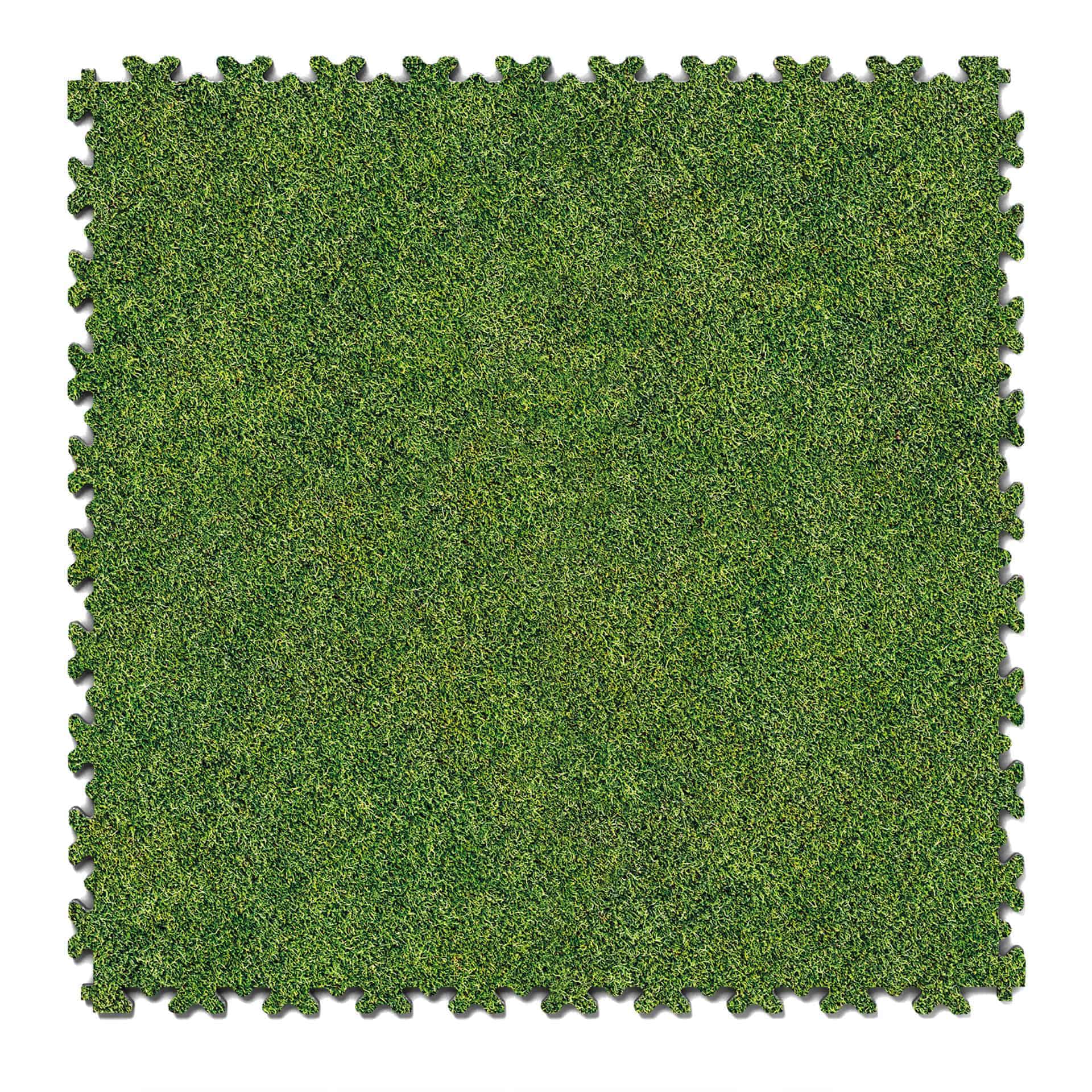 Impression Grass